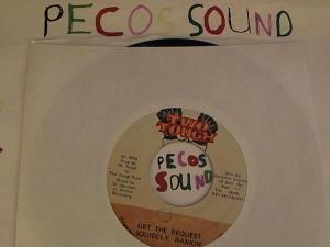 Hud-2 vinyl photos 3805