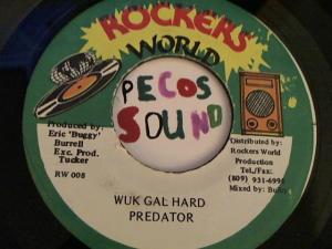 Hud-2 vinyl photos 3816