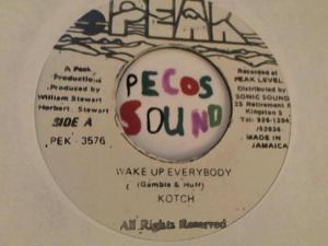 Hud-2 vinyl photos 3837