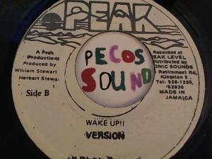 Hud-2 vinyl photos 3838