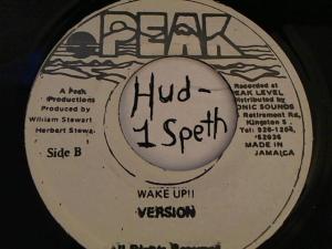 Hud-2 vinyl photos 3842