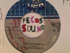 Hud-2 vinyl photos 4455