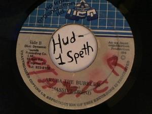 Hud-2 vinyl photos 4465