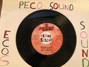 Hud-2 vinyl photos 4492