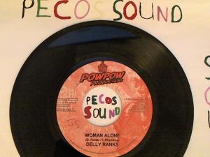 Hud-2 vinyl photos 4494