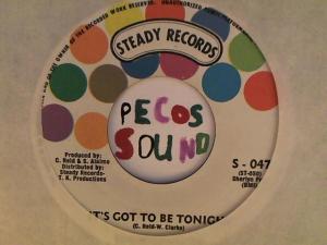 Hud-2 vinyl photos 4513