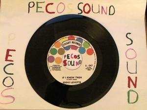 Hud-2 vinyl photos 4515