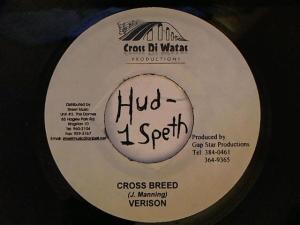 Hud-2 vinyl photos 4622