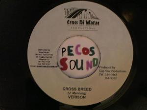 Hud-2 vinyl photos 4636