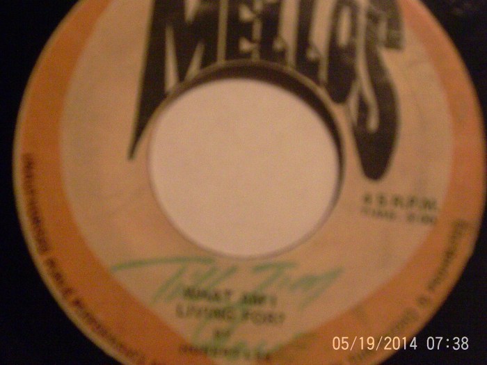 Hud-1 vinyl photos 644