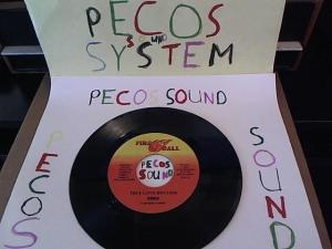 Hud-2 vinyl photos 1308