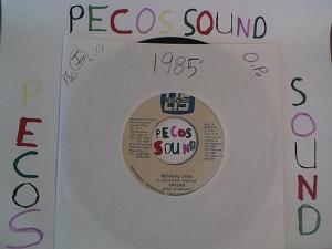 Hud-2 vinyl photos 1405