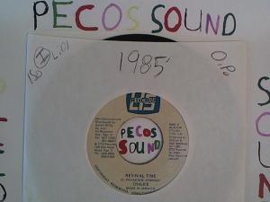 Hud-2 vinyl photos 1406