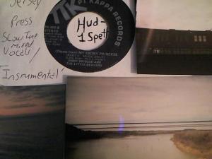 Hud-2 vinyl photos 3576