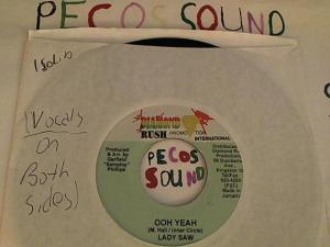 Hud-2 vinyl photos 3797