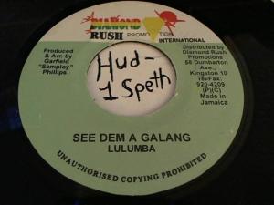 Hud-2 vinyl photos 3804