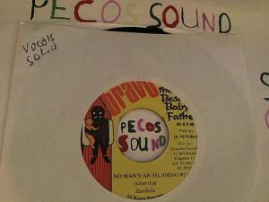 Hud-2 vinyl photos 3820