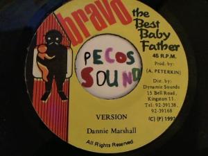 Hud-2 vinyl photos 3823