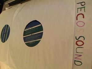 Hud-2 vinyl photos 3945