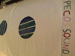 Hud-2 vinyl photos 3946