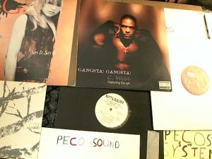 Hud-2 vinyl photos 3955