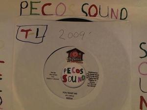 Hud-2 vinyl photos 4536