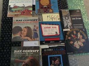 Hud-2 vinyl photos 4732