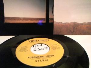 Hud-2 vinyl photos 905