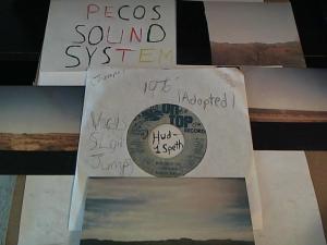 Hud-2 vinyl photos 950