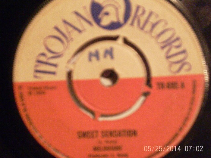 Hud-1 vinyl photos 111