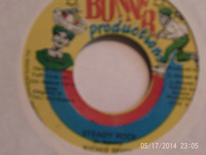 Hud-1 vinyl photos 255