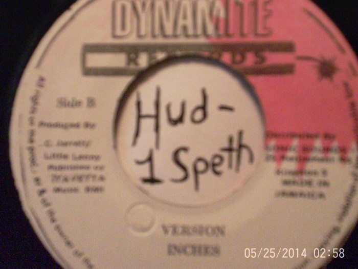 Hud-1 vinyl photos 300