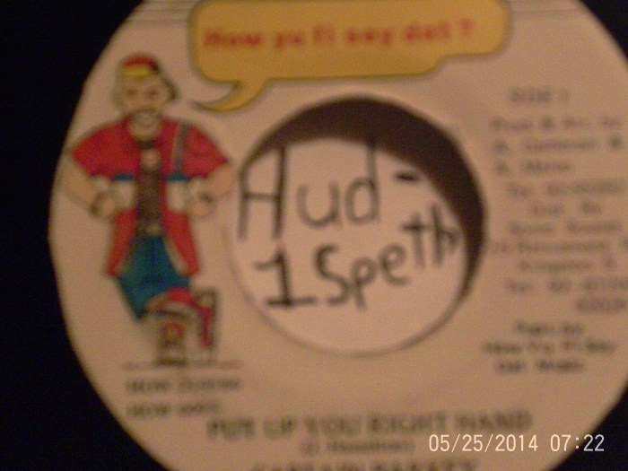 Hud-1 vinyl photos 413