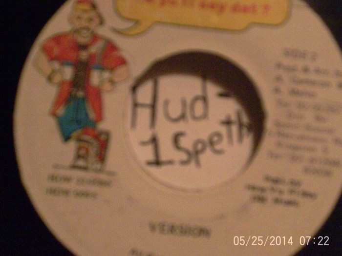 Hud-1 vinyl photos 418