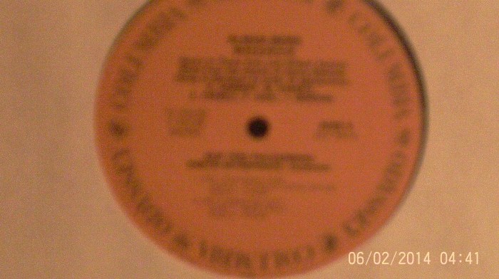 Hud-2 vinyl photos 095