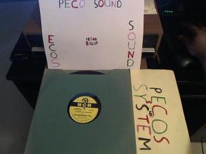 Hud-2 vinyl photos 1549