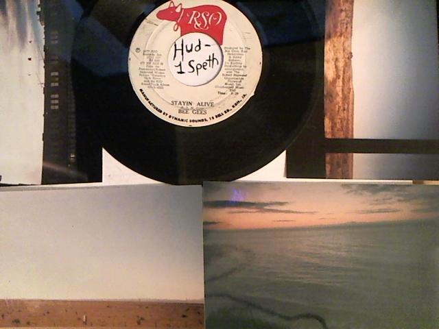 Hud-2 vinyl photos 1658