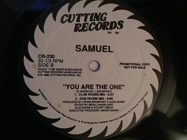 Hud-2 vinyl photos 2161