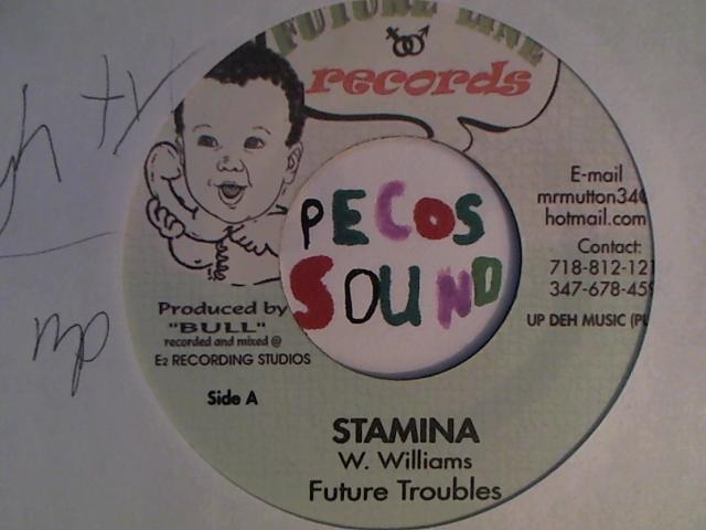 Hud-2 vinyl photos 2189