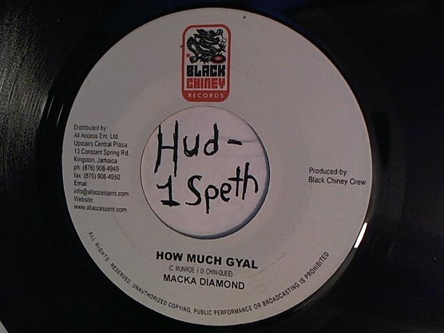 Hud-2 vinyl photos 826