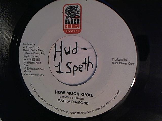 Hud-2 vinyl photos 827