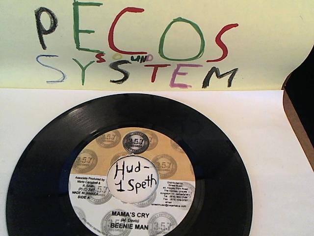 Hud-2 vinyl photos 929