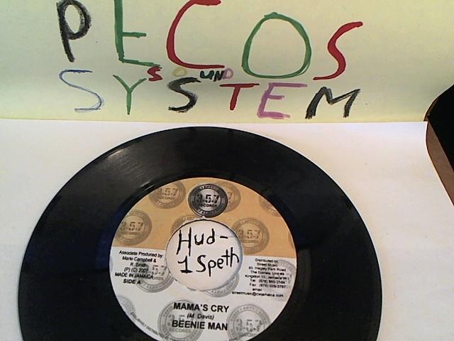 Hud-2 vinyl photos 930