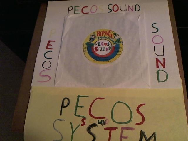 Hud-2 vinyl photos 1744