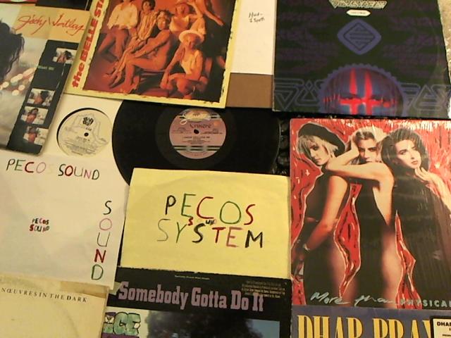 Hud-2 vinyl photos 3996