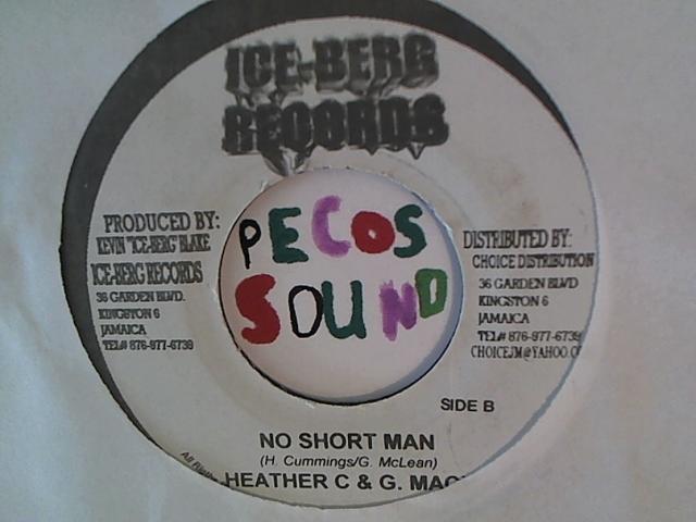 Hud-2 vinyl photos 1341