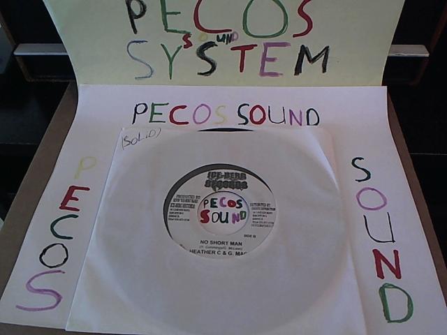 Hud-2 vinyl photos 1342