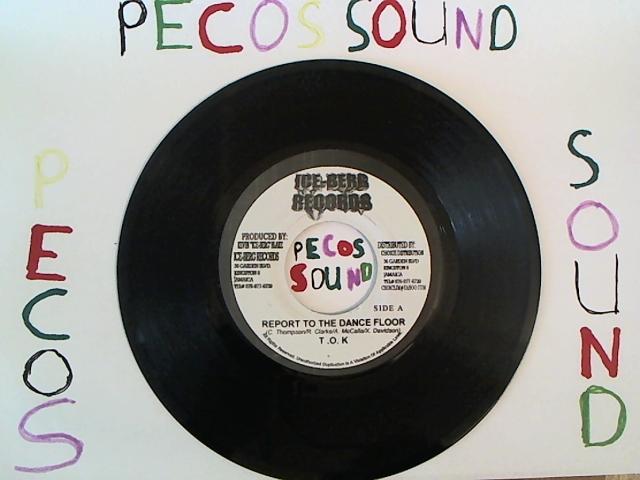 Hud-2 vinyl photos 1345