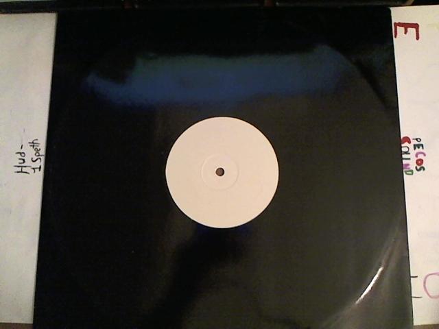 Hud-2 vinyl photos 3185